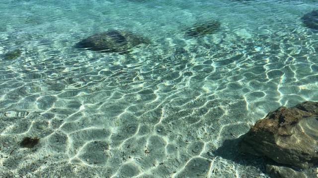 Immagini da: Malapascua Island
