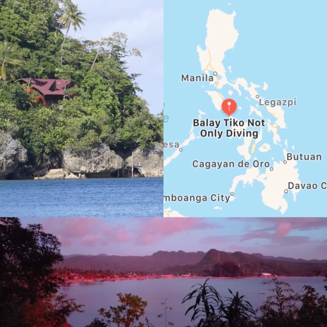 Immagini da: Panay Island