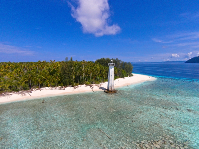 Immagini da: Raja Ampat