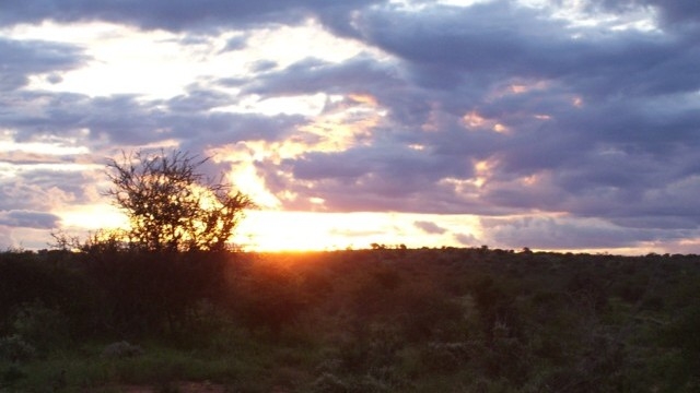 Immagini da: Tanzania